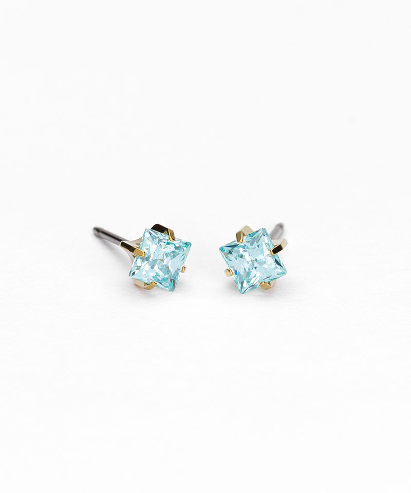 Tiffany Edge Earring