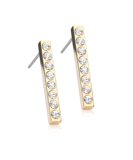 Pendant Brilliance Straight Earring