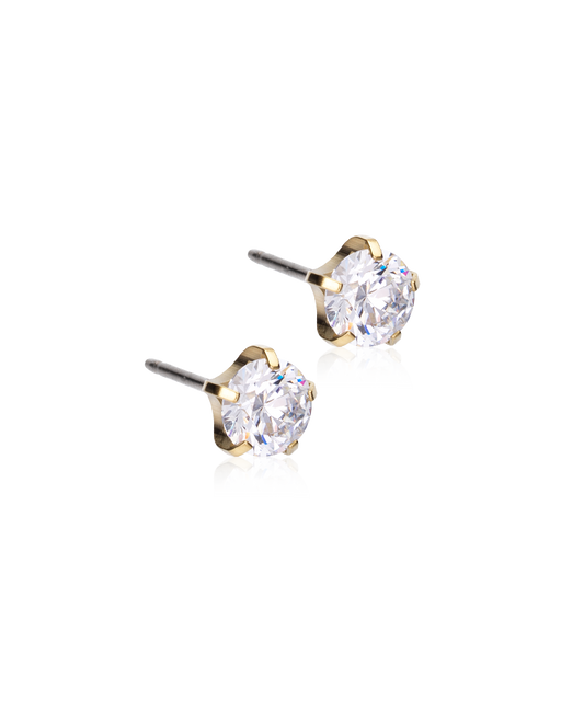 Tiffany Precious Earring