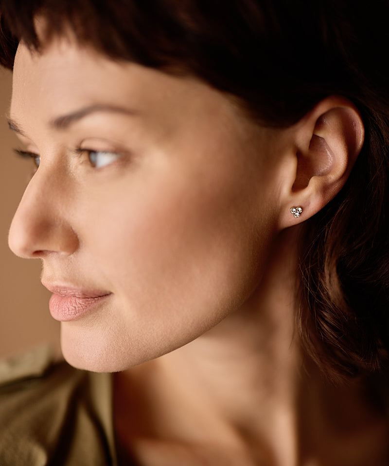Golden Titanium - Clover Earring